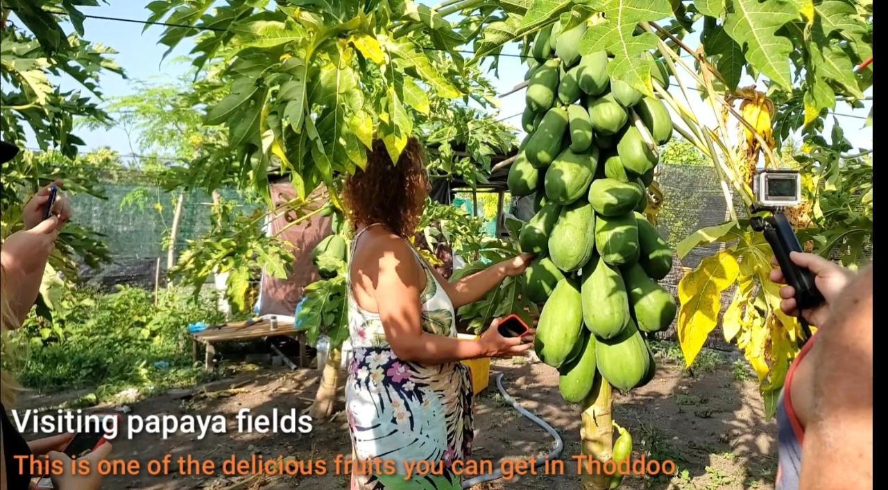 Thoddoo Beach Holiday 외부 사진