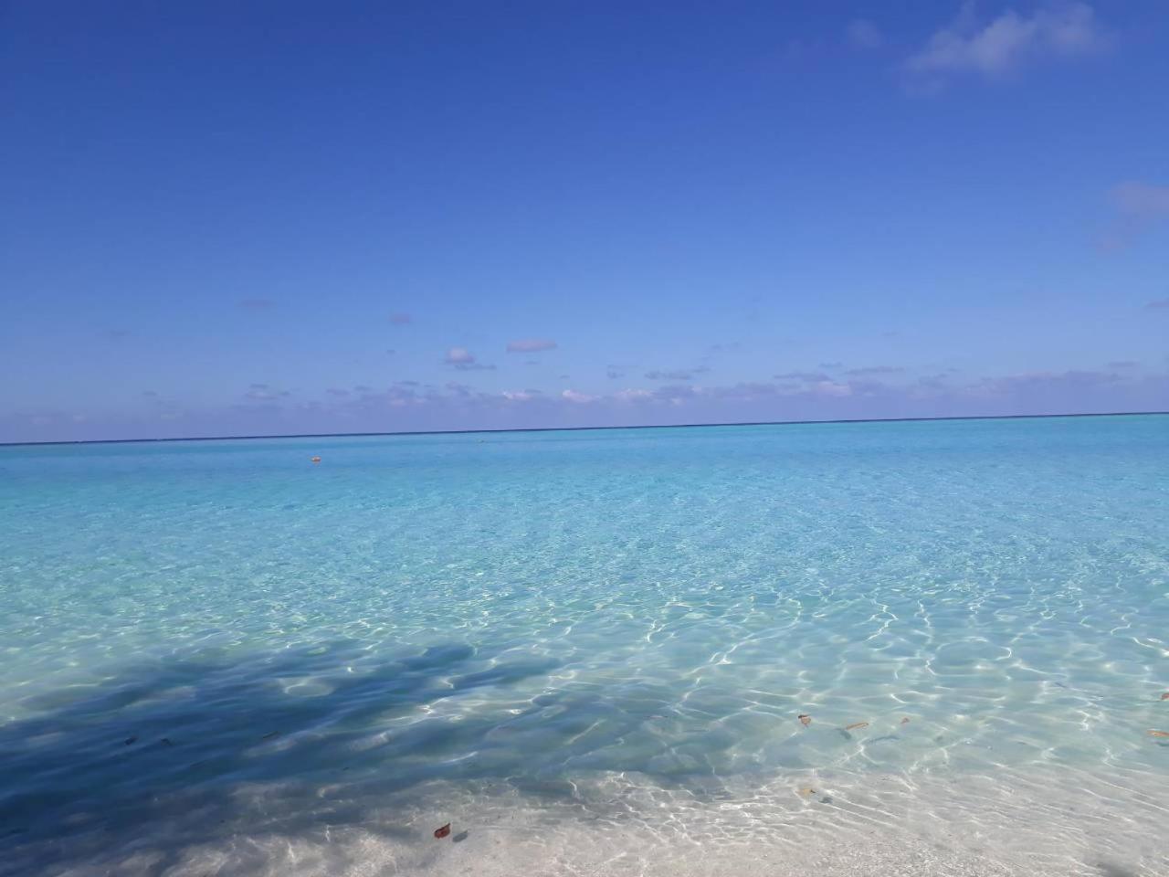 Thoddoo Beach Holiday 외부 사진
